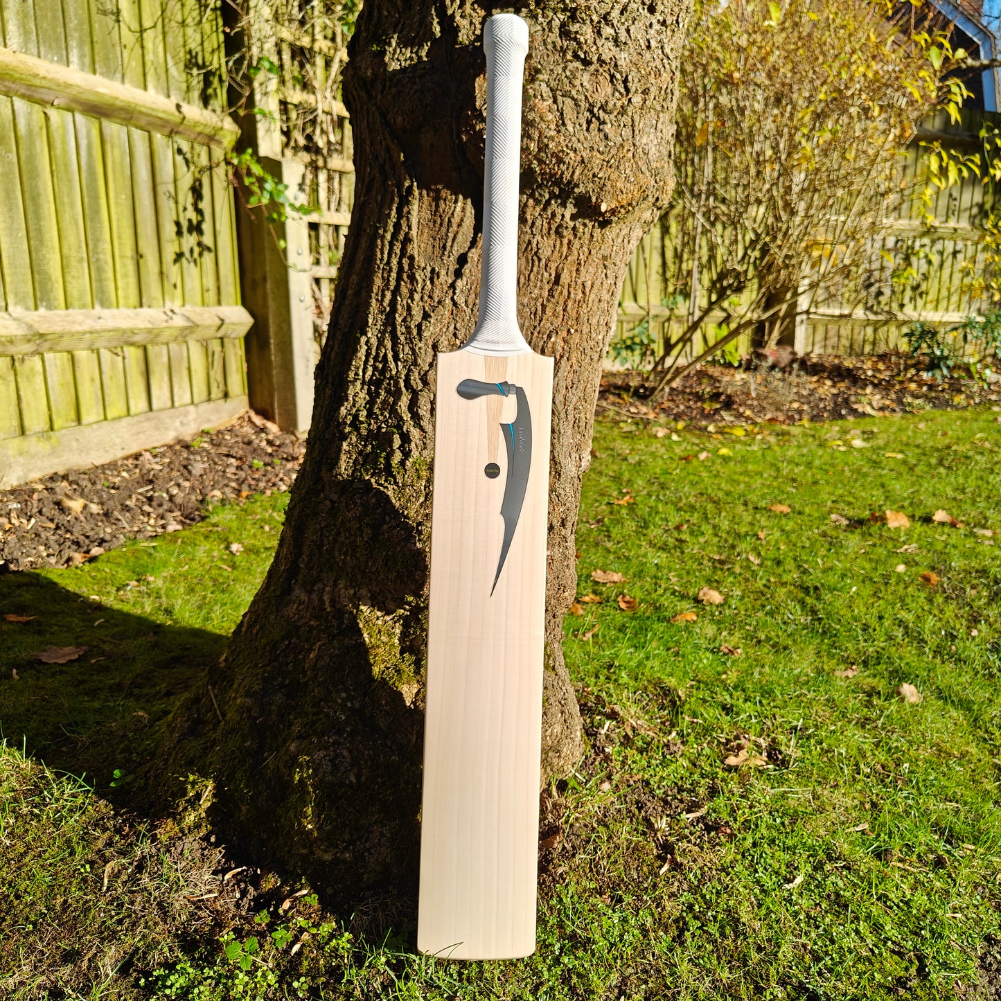 Salix Knife Grade 1 Cricket Bat 2025
