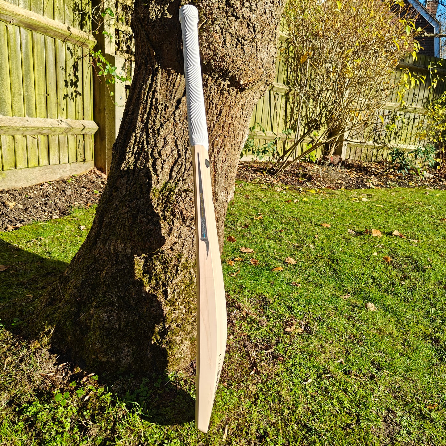 Salix Knife Grade 1 Cricket Bat 2025