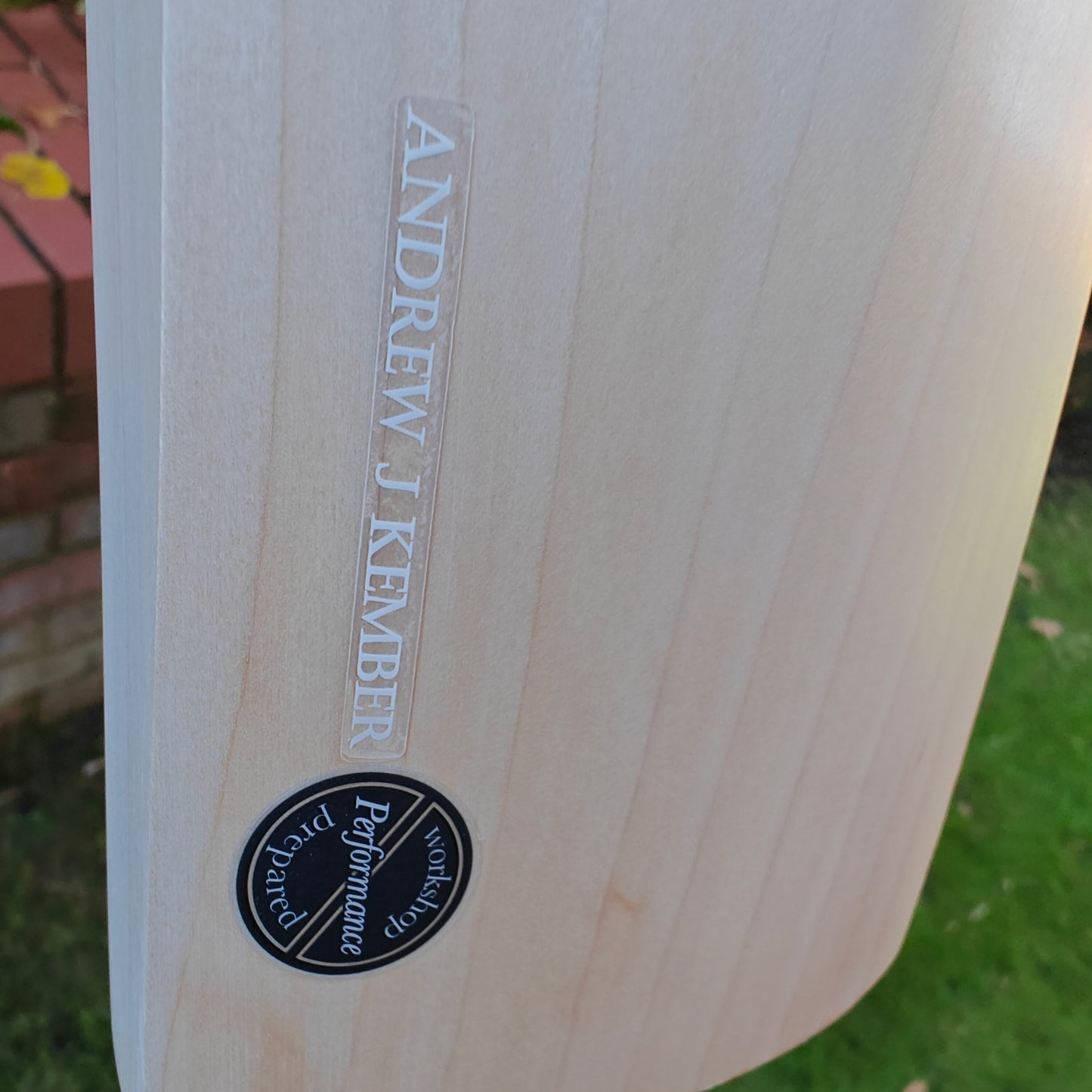 Salix AMP Performance Cricket Bat 2025